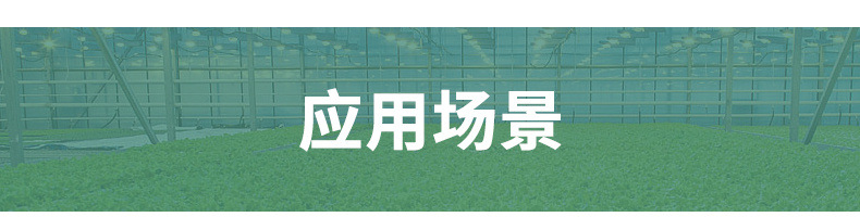223f4100-0c8e-4f0e-b2d2-a6ebbff57bf8.jpe