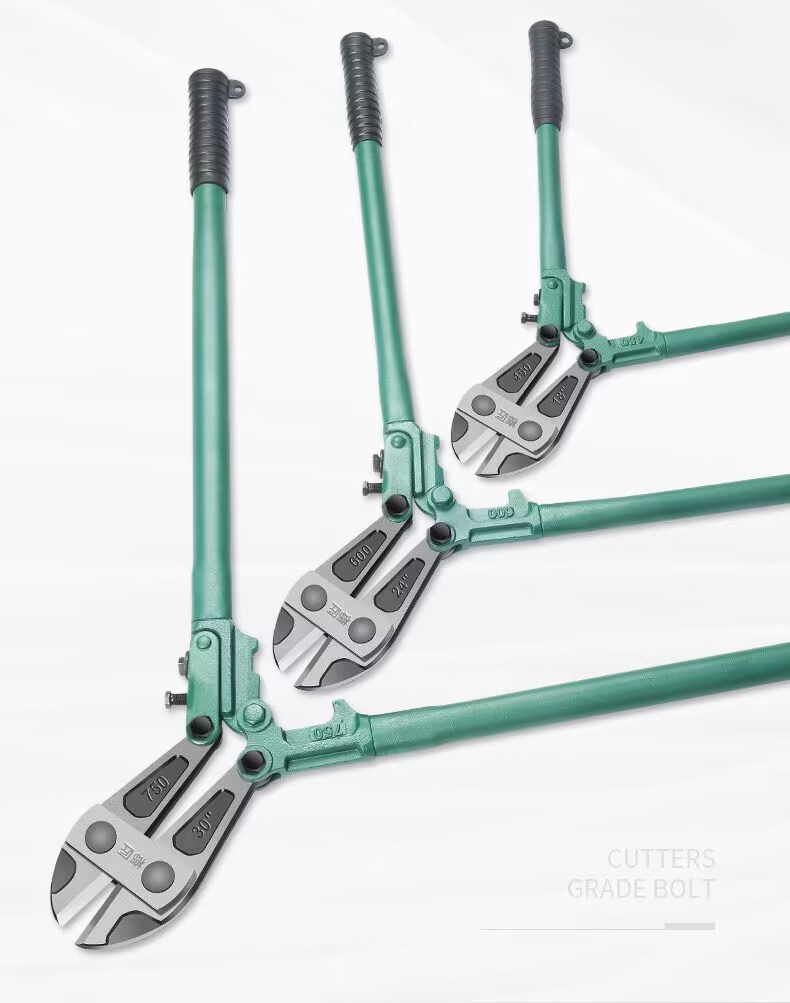 f4861c70-de1f-494e-91b5-c3c670371f12.jpe