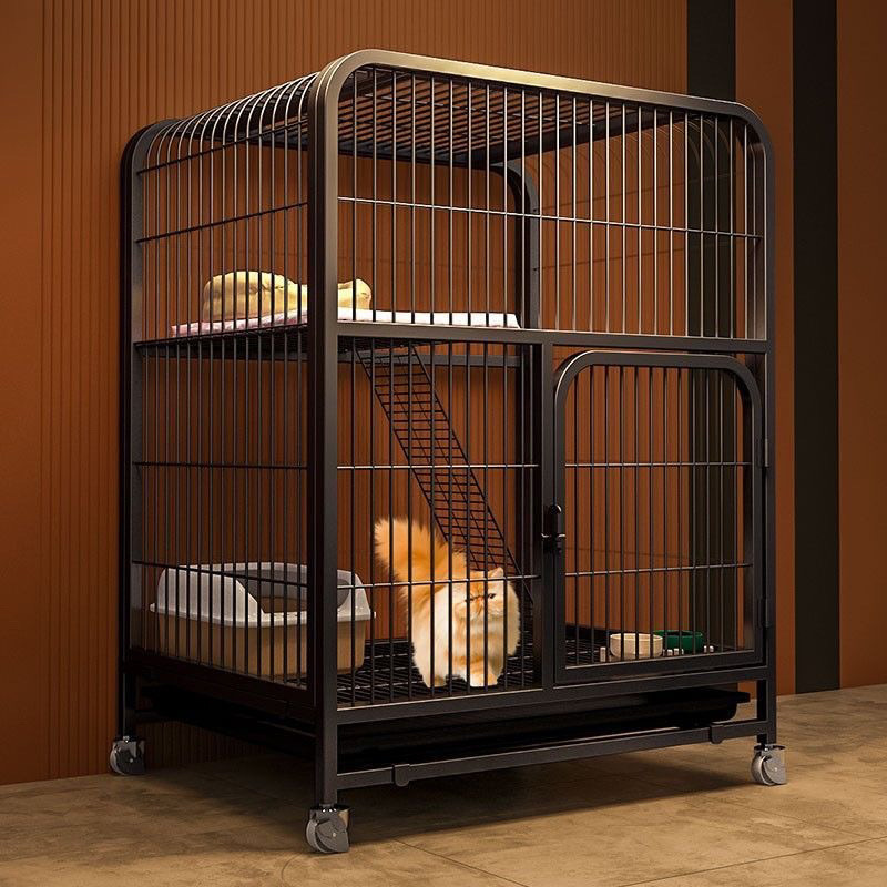 10687853-207e-4655-a5f6-dc1751c044c9.jpe