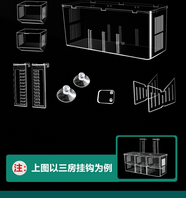 abadceab-85a5-4b24-a13b-58f156fe841b.jpe