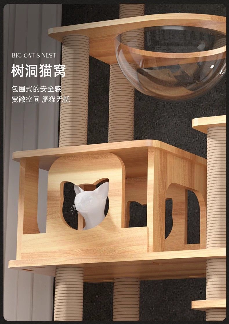 e7284ef9-c6c2-4fe1-9070-a97325e4e242.jpe