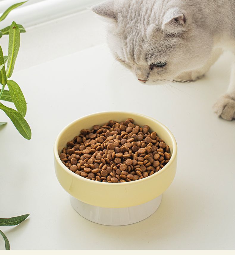 f97e316d-a614-49c0-997a-39d6104b21c6.jpe