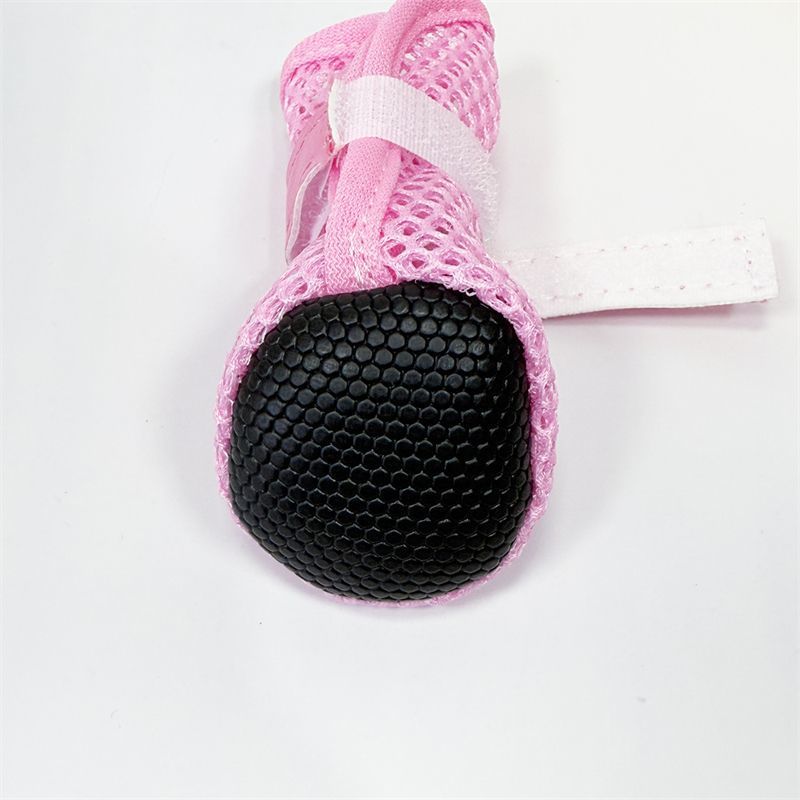 481f9267-70ae-463e-b4b5-71b9c3d1d09b.jpe