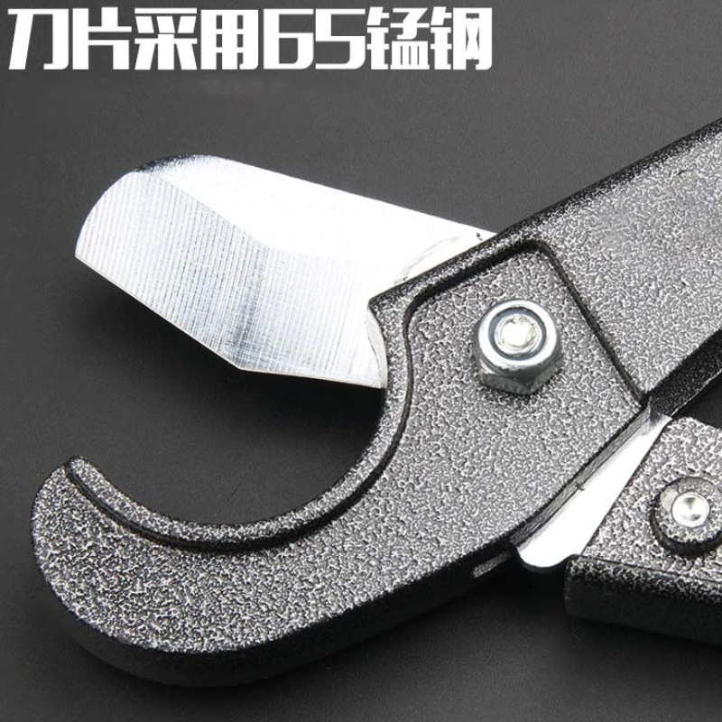 QQ图片20210609084035