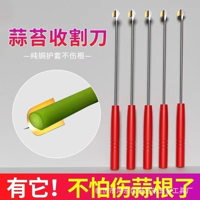 微信图片_202504141525161.jpg