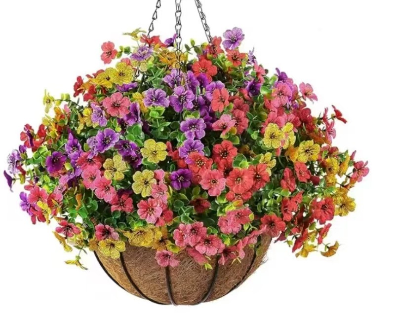 微信图片_20250313232916