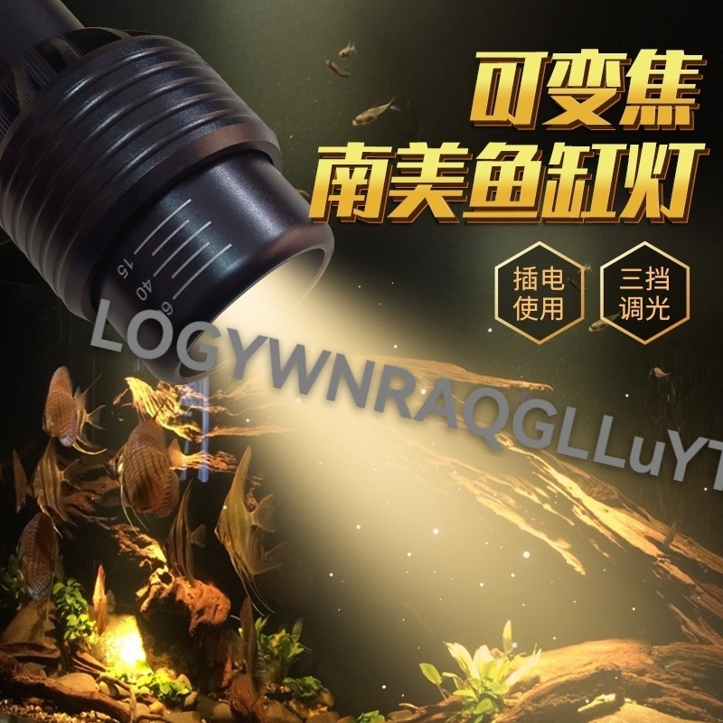 19f5855b-c819-4b45-90b7-7ac7c0d6a9a0.jpe