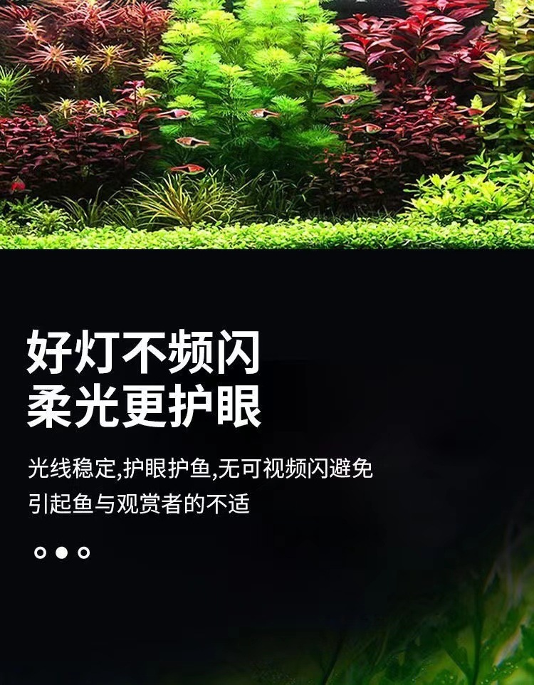 09ed12fd-02af-4791-a017-5eef6af7012d.jpe