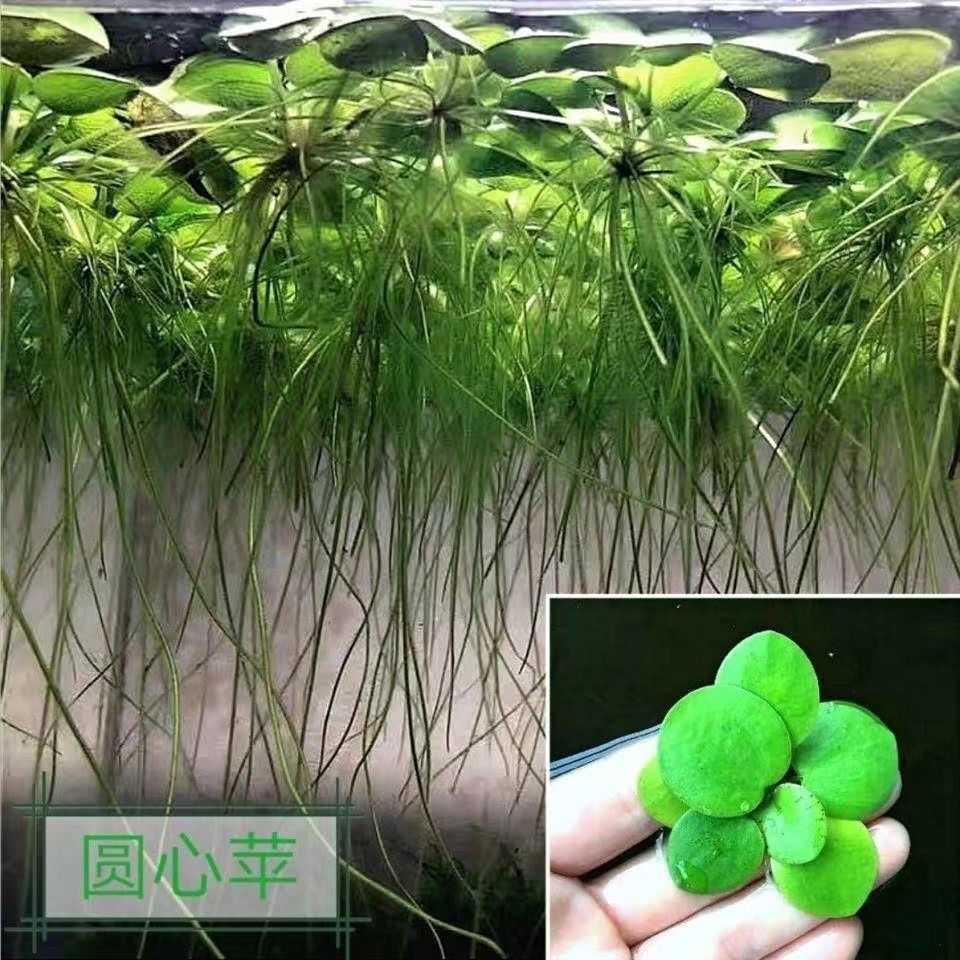 5e2f52a4-be34-4672-9b78-dfdfc671efd1.jpe