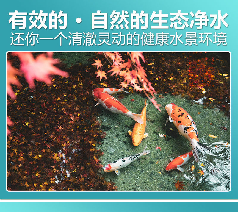 891214de-38f7-4543-9858-beb809d2a4f8.jpe