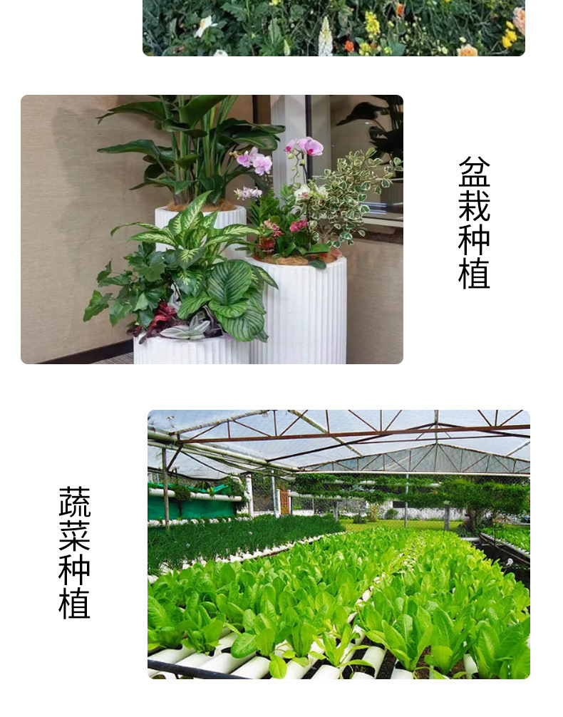/O1CN01lpJv9s1YBfa7H1ryU_!!2219642993021-0-cib.jpg