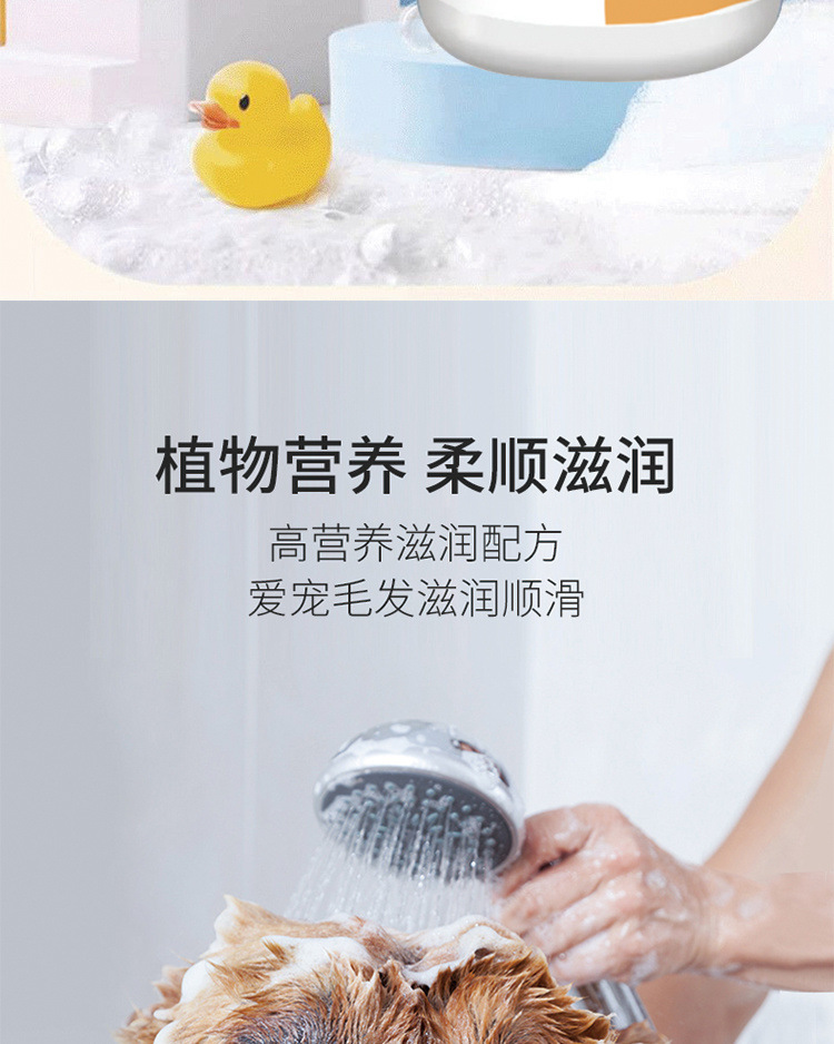 e55efdea-9c39-4b68-b603-43d834bd9d6a.jpe