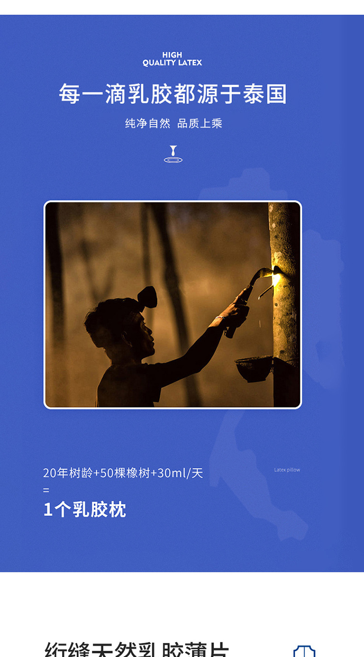 头等舱护肩款_06.jpg