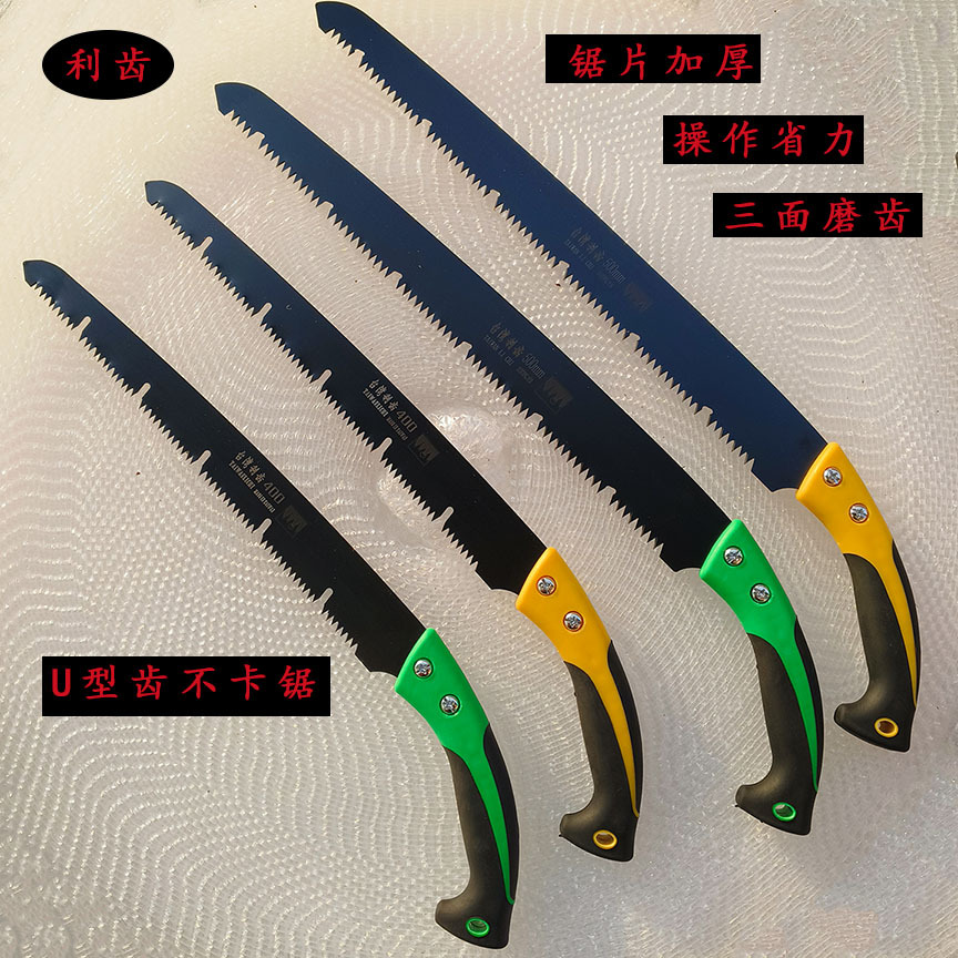 微信图片_20241220151302 拷贝