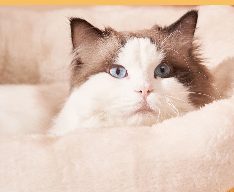 548f7e6d-f8ec-4930-9f99-af10df5fd1c7.jpe