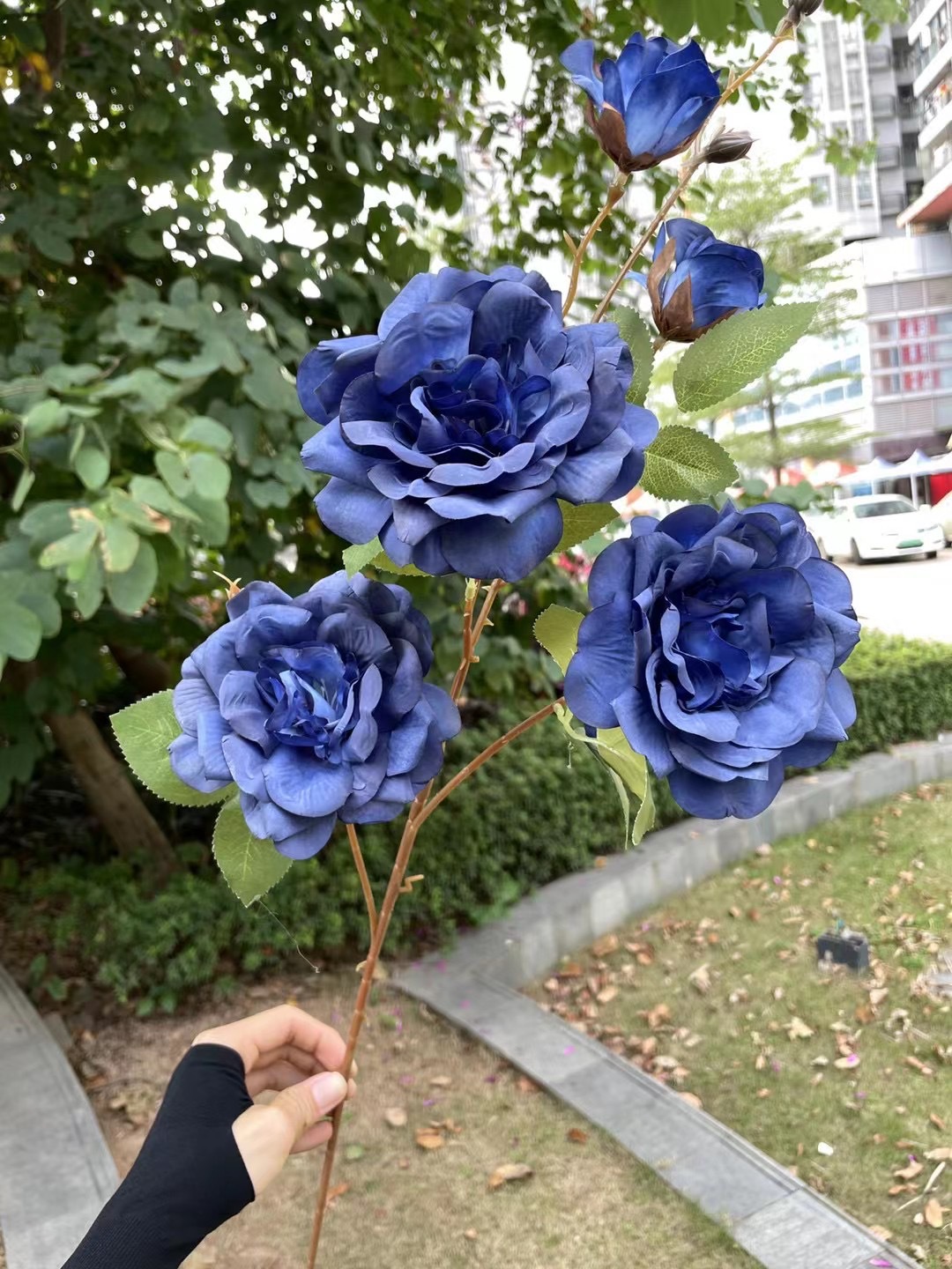 微信图片_20211113145321