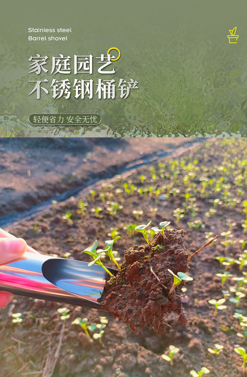 25e7001b-f028-4601-a4cf-1bd209e6d7dc.jpe
