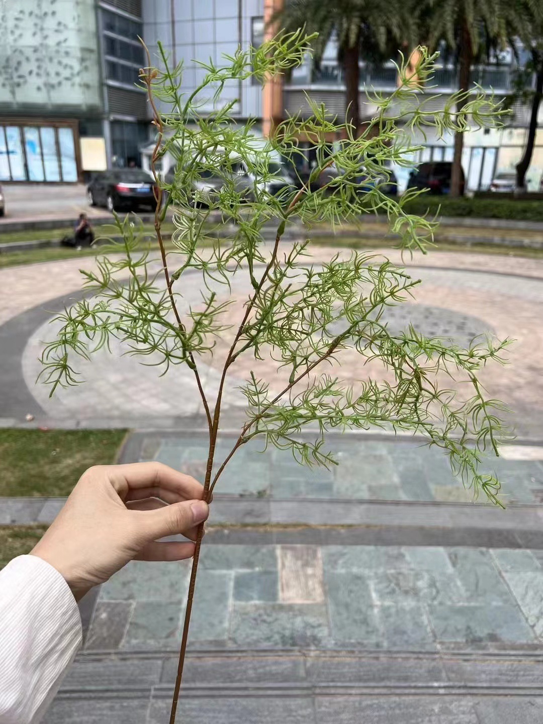 微信图片_20240705180458