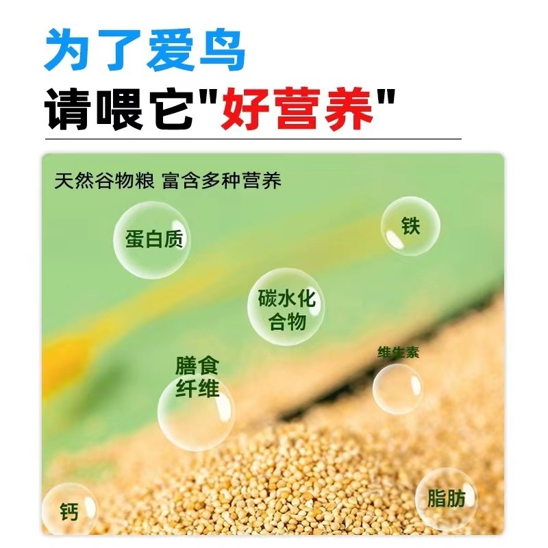 b5cd7dca-9a7f-47f8-a07f-c7720d0bb795.jpe