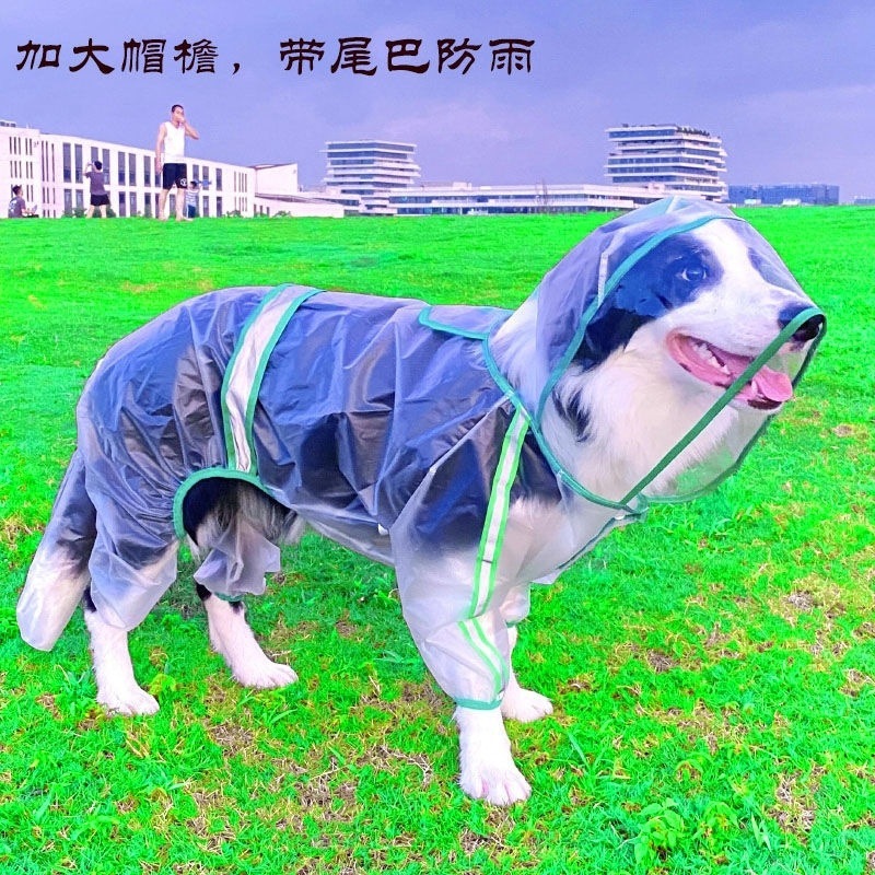 0e9a98fc-2259-46d1-9c90-3a03d5ccaf34.jpe