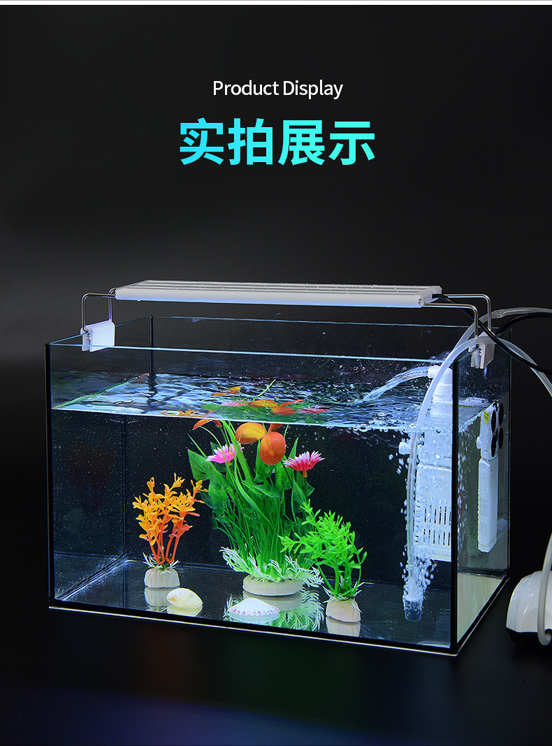 9f46a5dc-9cbb-4840-bb01-4b99d2daebfe.jpe