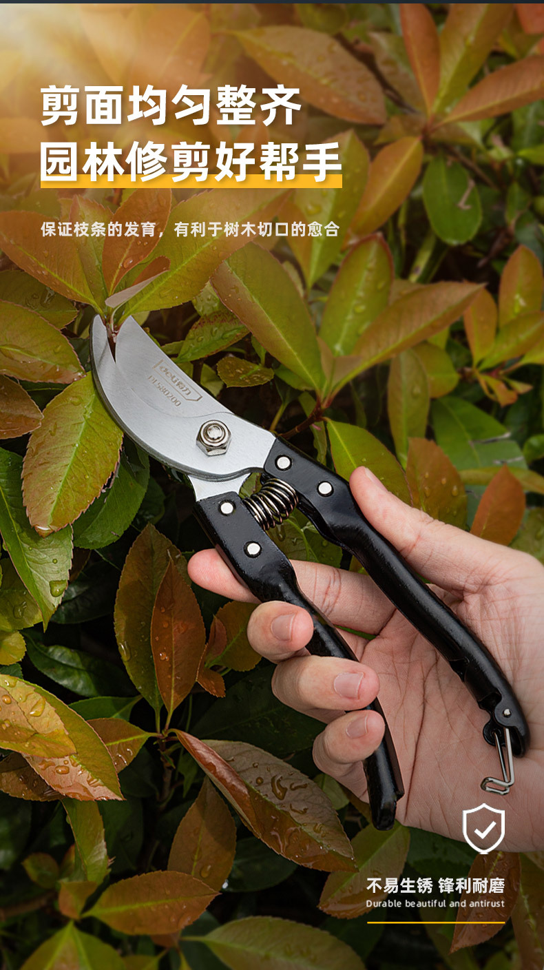 DL580200 (10).jpg