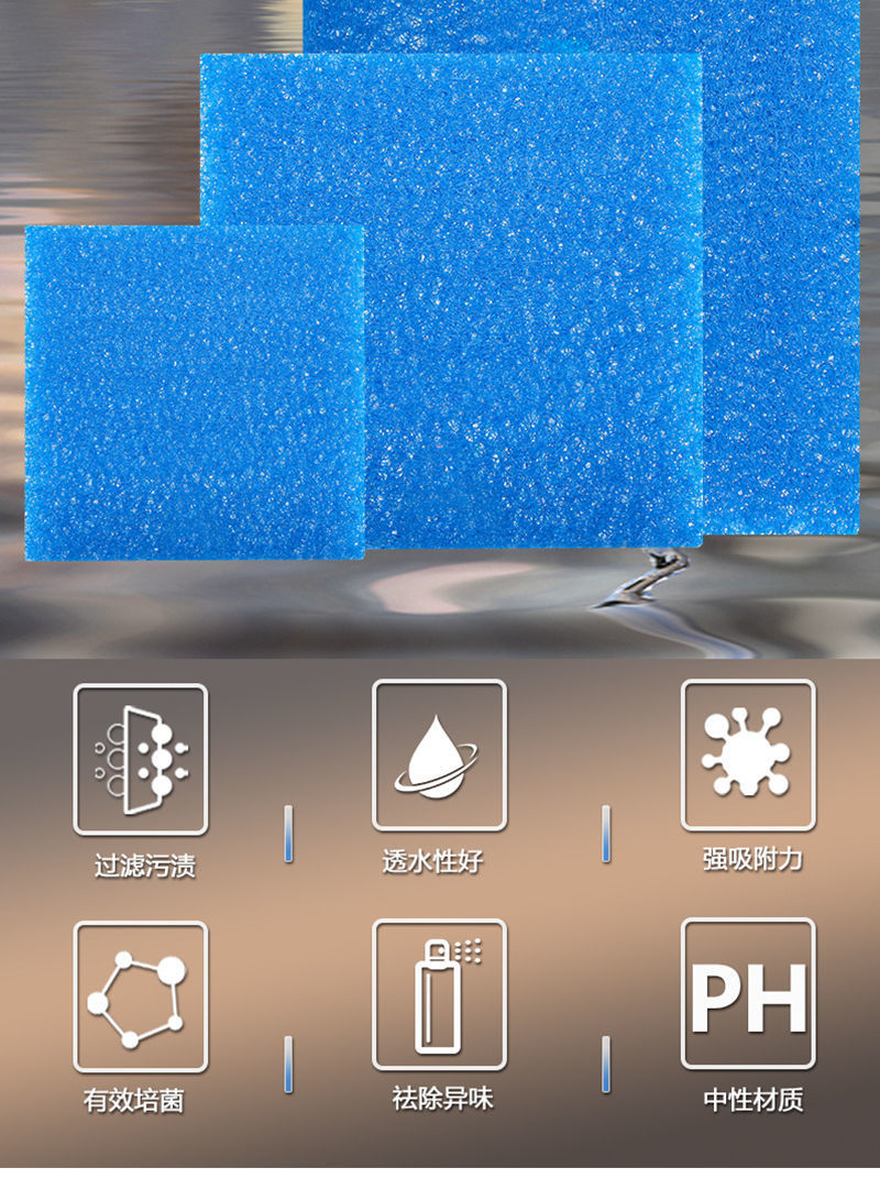 8daf16e1-7e7a-40aa-b99b-74d34e568863.jpe