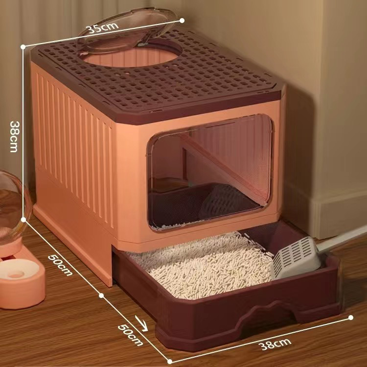 ff229b86-6789-44bd-bb92-f6e7dbde5dba.jpe