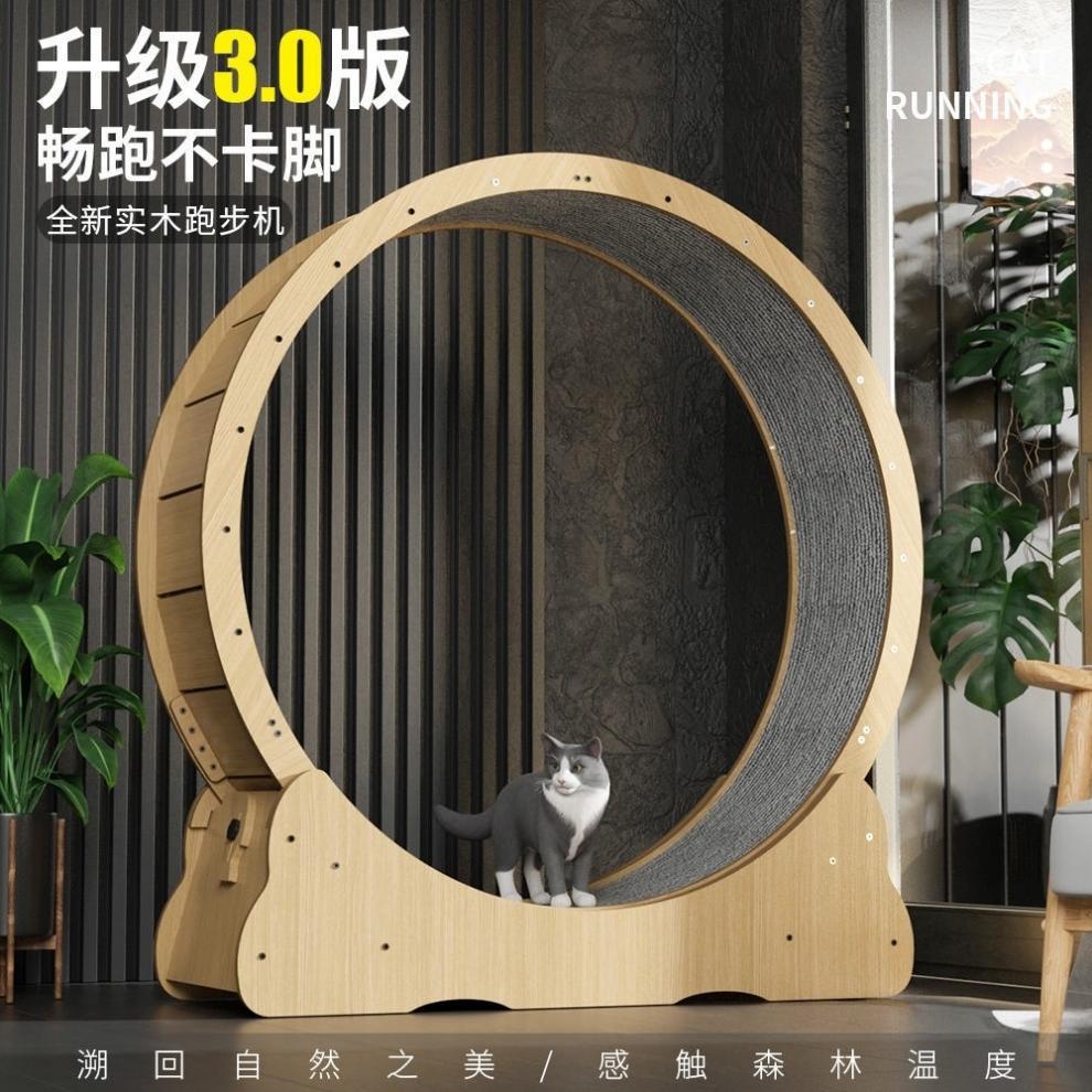 f1a2e669-225b-4246-9186-1b918e6f47bf.jpe