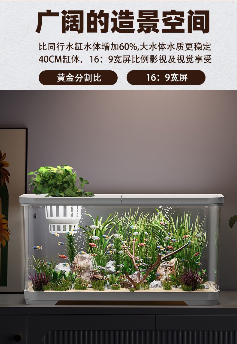 2251fa8d-33c3-47b4-a9b3-f8debecc4d12.jpe