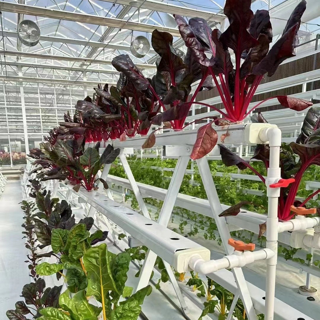 2025-05-30 09:01:32.jpg