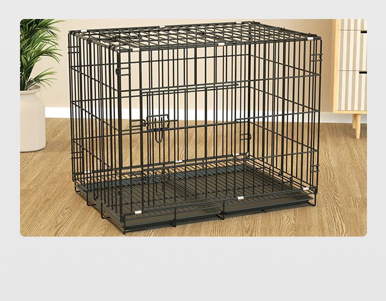 9531eef9-f932-454d-a0c7-3f6cc940a4c7.jpe