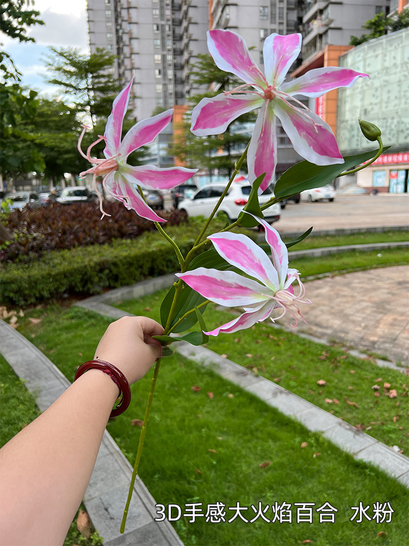 3D手感大火焰百合-水粉.jpg