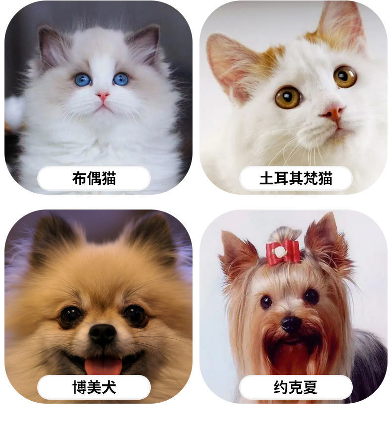 c1a86bdb-235e-4fb9-a9ad-d4beb29fdff0.jpe