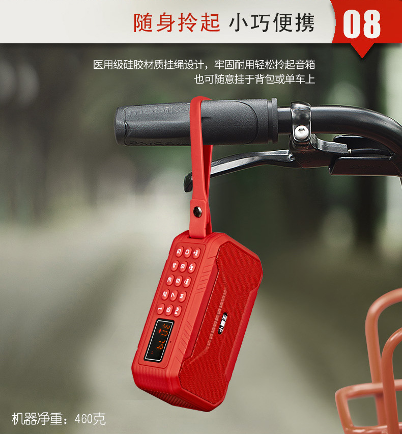 D100_10.jpg