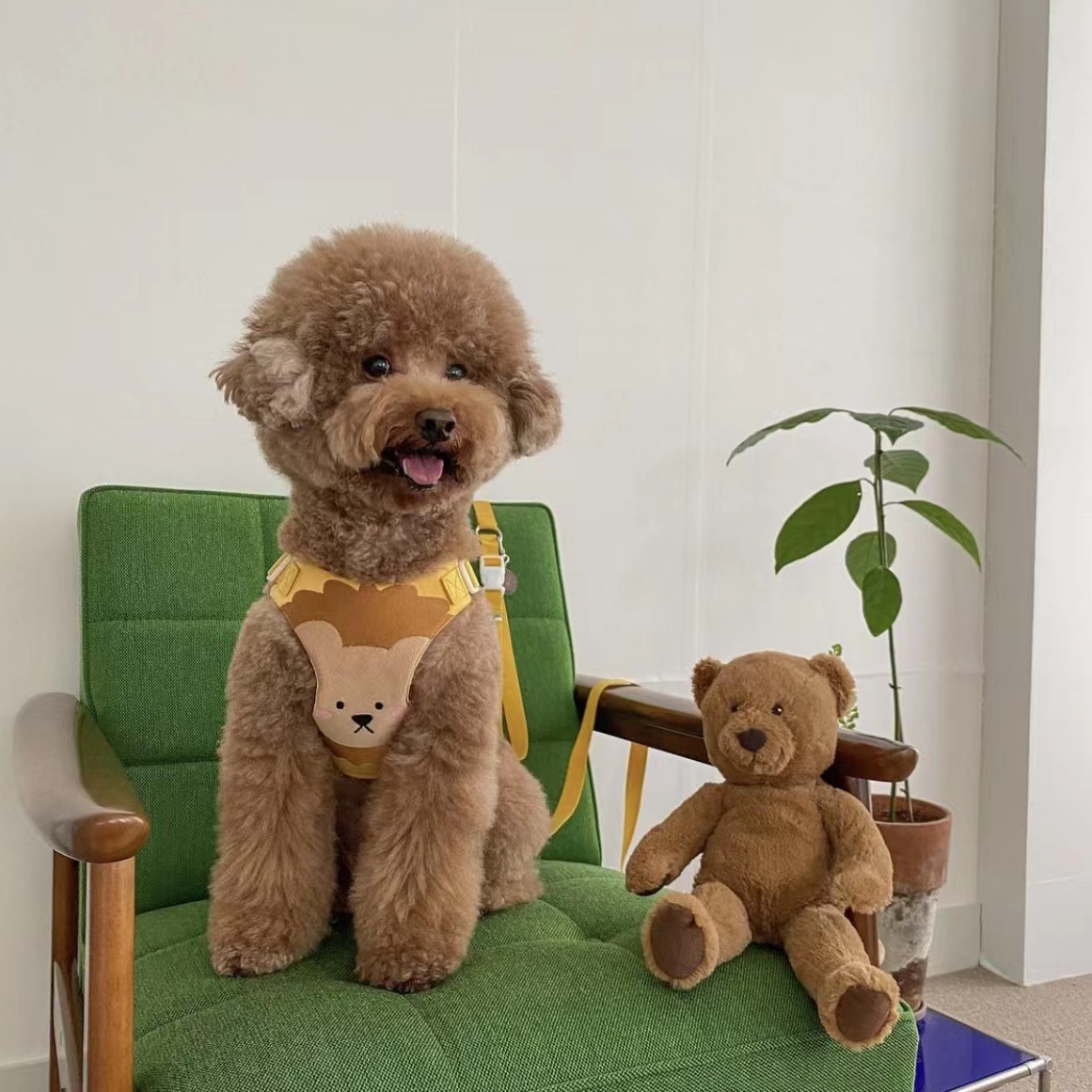 微信图片_20220624114118