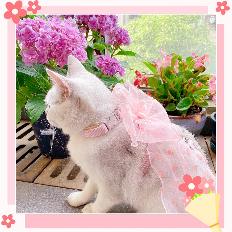 IMG_4737(20220617-151609)_副本