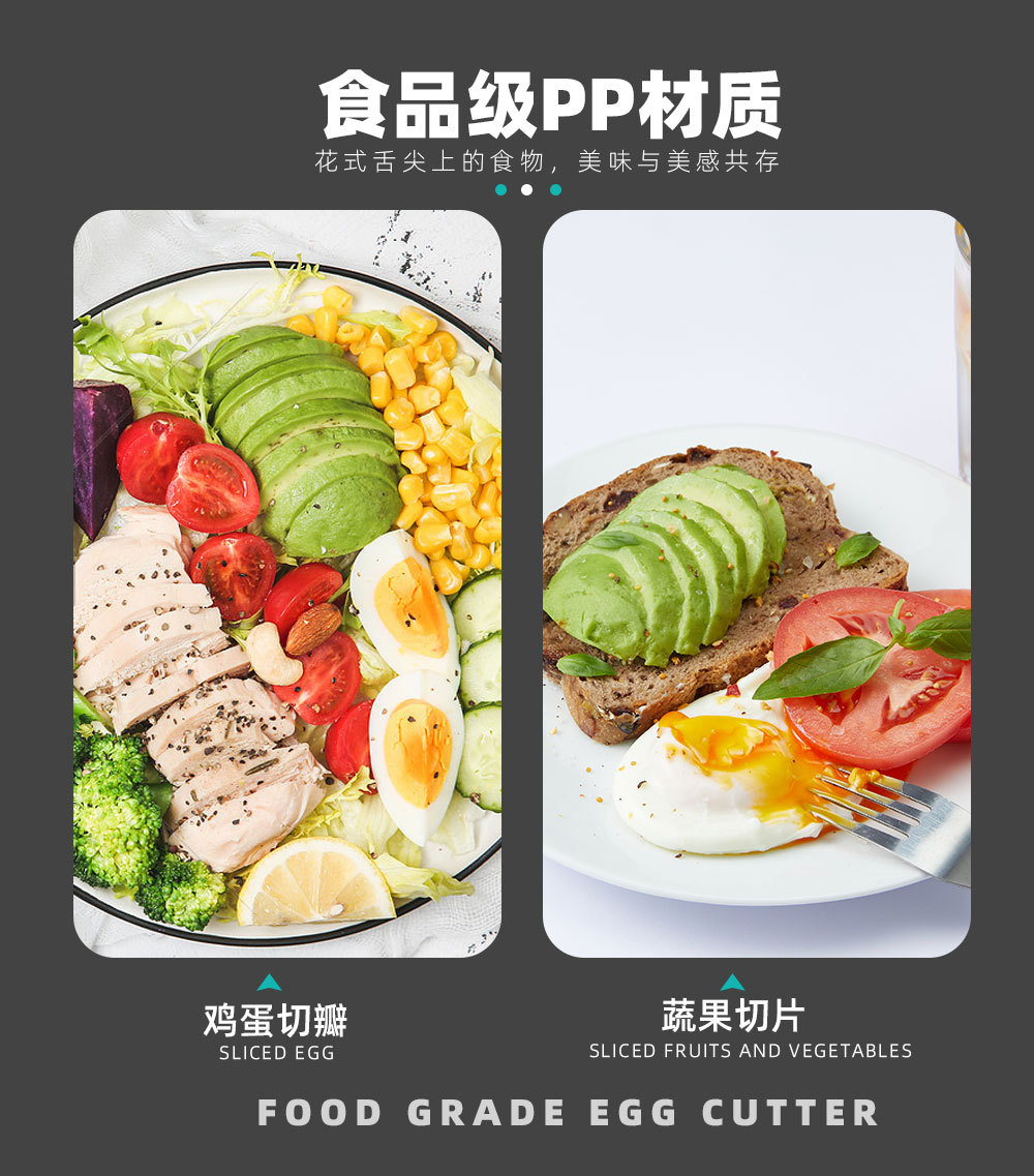 新模板_02.jpg