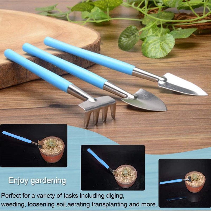 61FvLxnnowL._AC_SL1000_