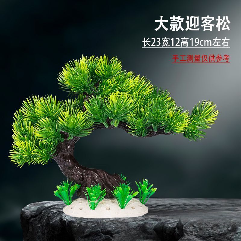 56a2e88f-98a9-47d2-a1b7-c84bb4205c87.jpe