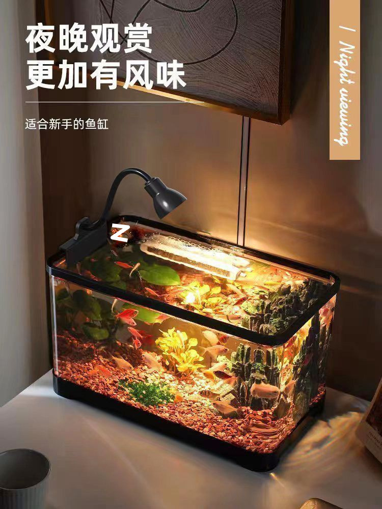 6d5141bd-9484-4ae4-8042-1755e8d70b7a.jpe