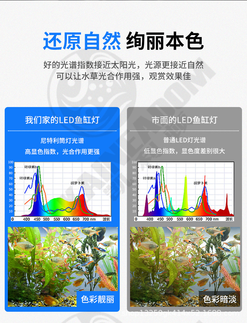 水草灯_05.jpg