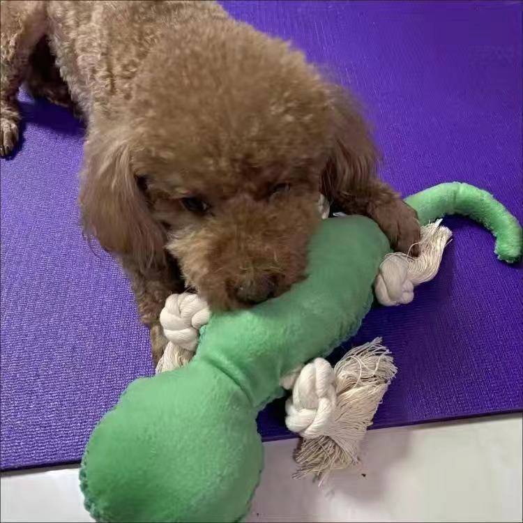 微信图片_20220608184124