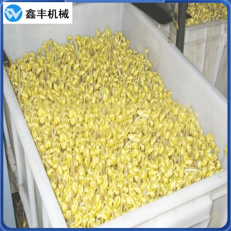 A鑫丰豆芽机 (34).jpg