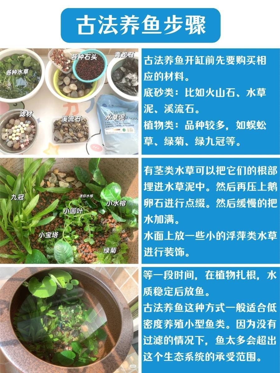 c66e782d-133f-4d1c-9593-9e6d20f5e398.jpe