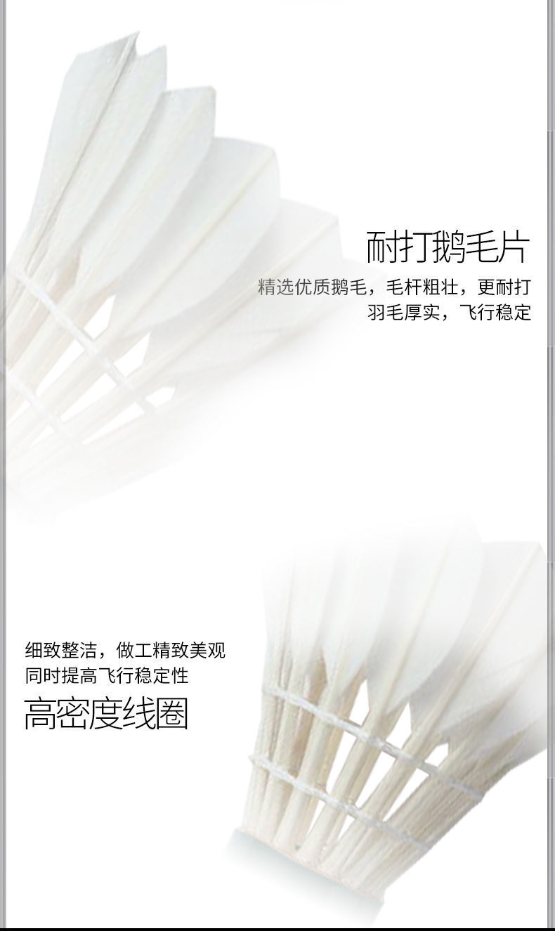 d0444c3d-9734-4fd5-9f9a-a96d5b4e990c.jpe