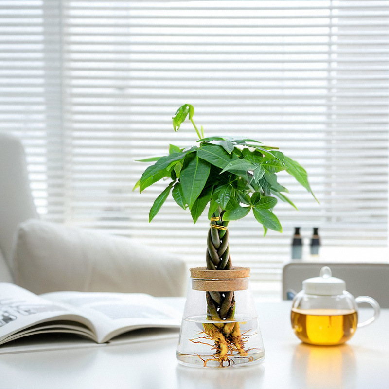 f13ee3fa-ba0b-42c9-bdf6-da741b0fee7f.jpe