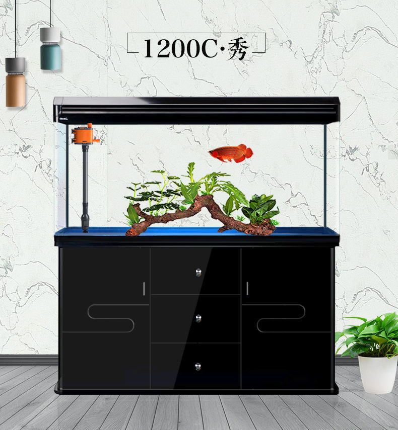 669af2af-6828-48a8-be00-5bc2b27bbc3b.jpe