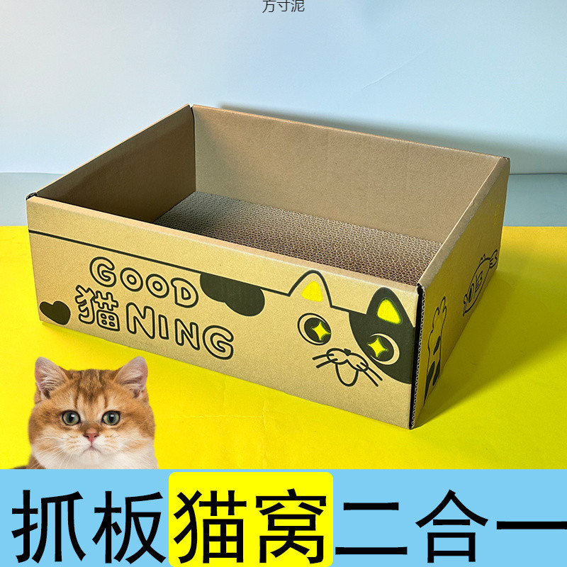 ef3ae0f3-debb-4ec3-bcf1-a123d8d03bdc.jpe