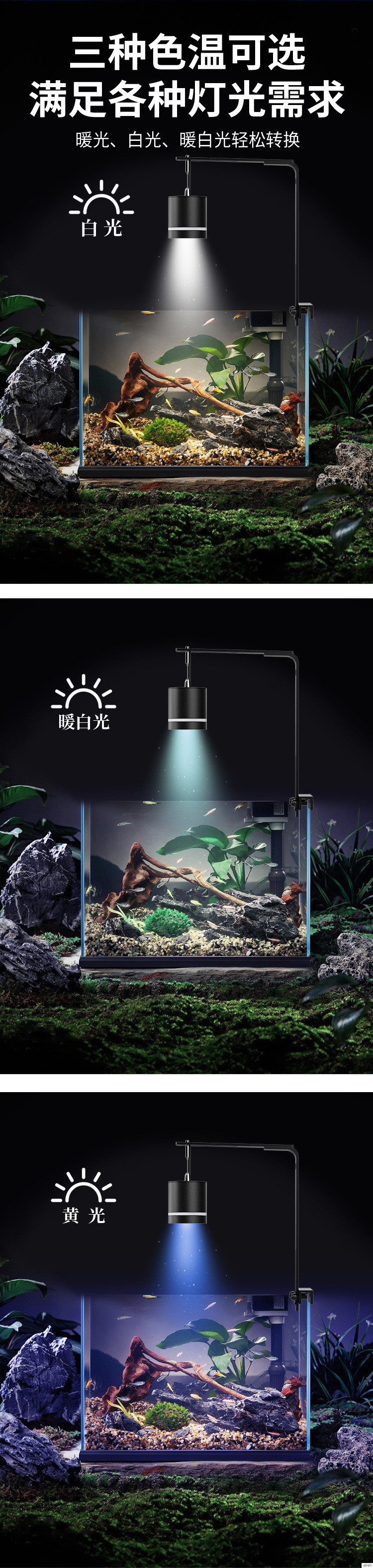 4ea4d937-e4b0-4e6e-af18-79004c63a4ae.jpe